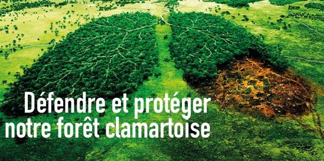Défendre et protéger notre forêt Clamartoise